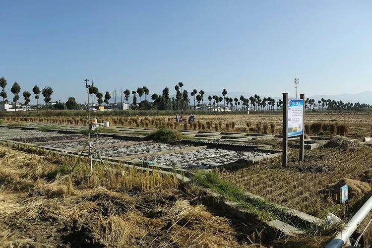 筑牢西南生态屏障 农业农村部环境保护科研监测所大理综合实验站的环境保护监测实践